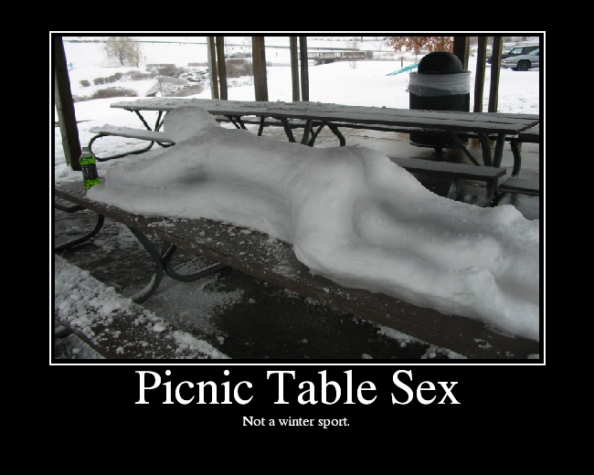 Picnic Table Sex Picture Ebaums World