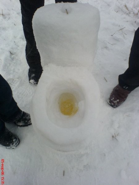 a toilet for the cold