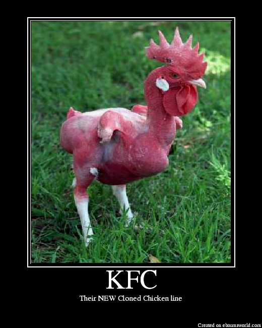 KFC Picture eBaum's World