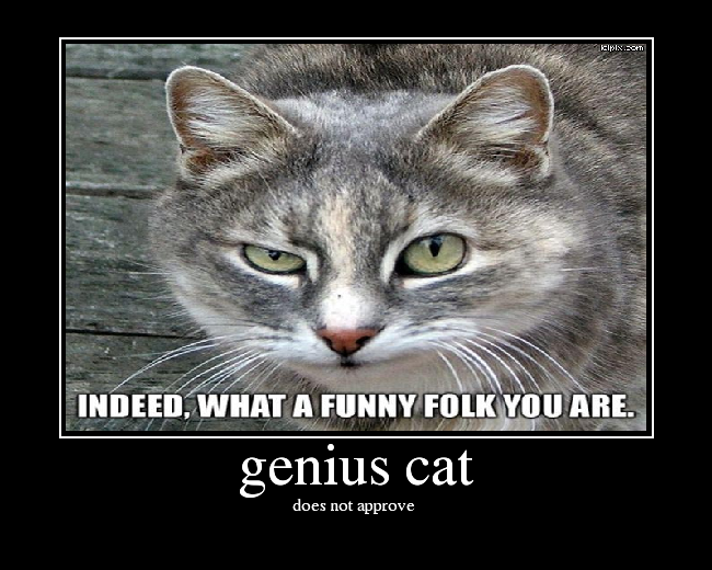 genius cat - Picture | eBaum's World