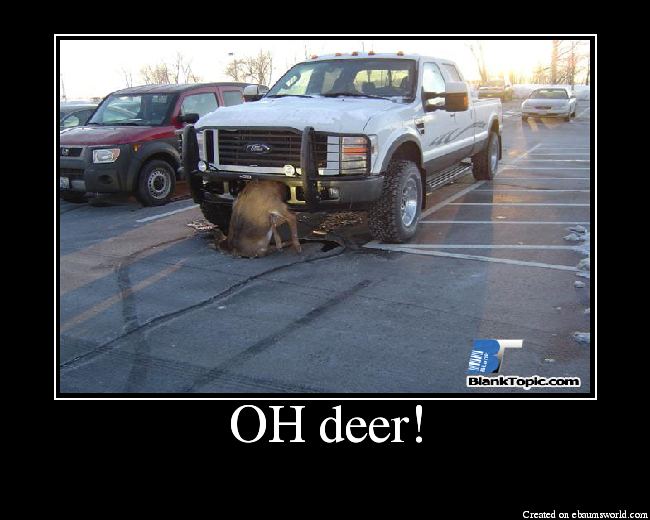 OH deer!