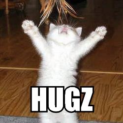 Kitty wants a big hug