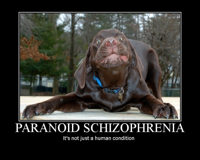 Schizophrenia, not just for people