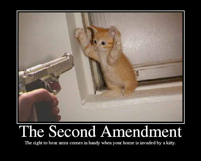 The right to bear arms comes in handy when your home is invaded by a kitty.
