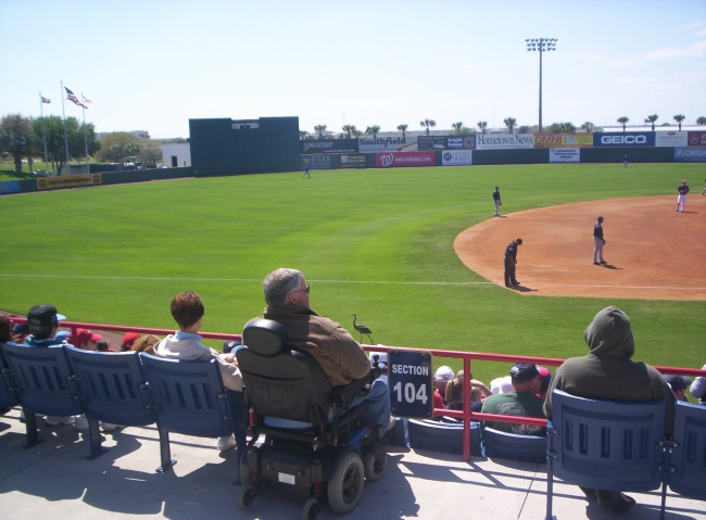 Blue Heron interupted the Nationals and Indians Spring training game.