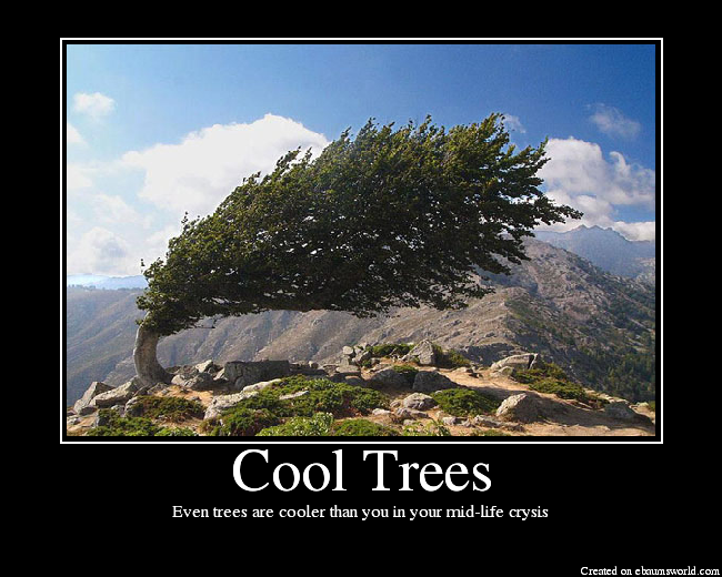 Even trees are cooler than you in your mid-life crysis