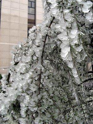 After Ice Rain in South China