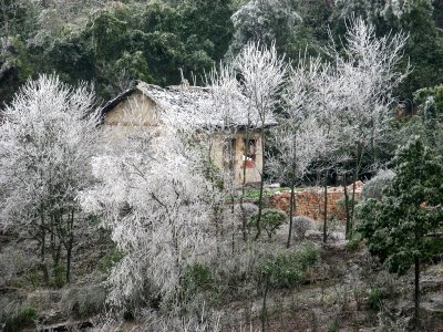 After Ice Rain in South China