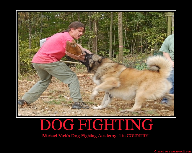 Michael Vick's Dog Fighting Academy: 1 in COUNTRY!