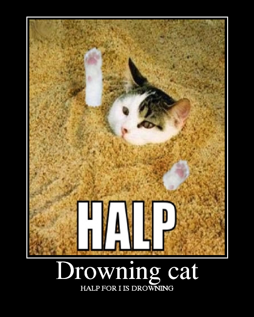 HALP FOR I IS DROWNING