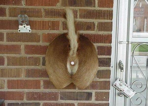 this is my house doorbell lol