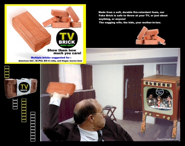 TV brick right!
Needed Now More than Ever for the
political season!