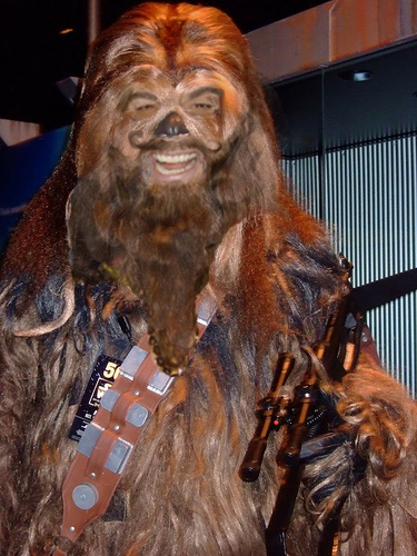 if your looking for an intergallactic adult friend, then call up the love wookie