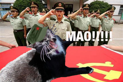My cat is a commie.