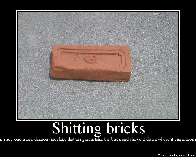 if i see one more demotivator like that im gonna take the brick and shove it down where it came from