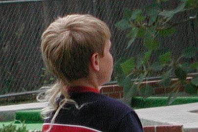 Timeless Trends- The "Rat Tail"