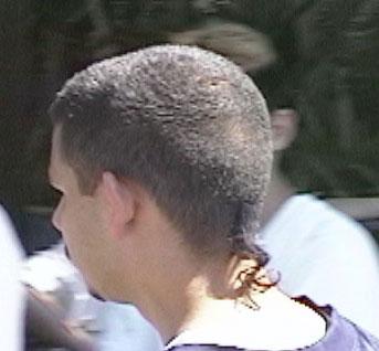 Timeless Trends- The "Rat Tail"