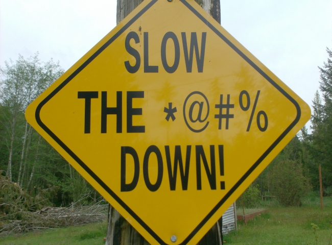 This is a sign I saw in someone's yard near my house. We get a lot of speeders on this road.