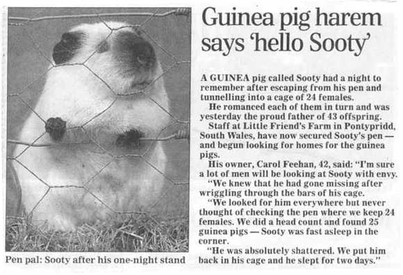 Funny Newspaper Clippings 2 - Gallery