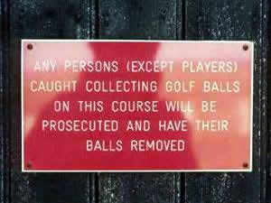 I wouldnt steal balls from this course