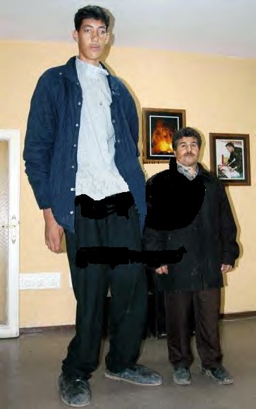 World's tallest people