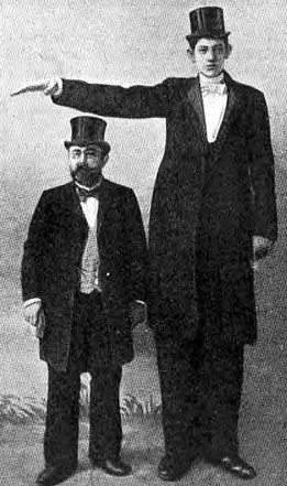 World's tallest people