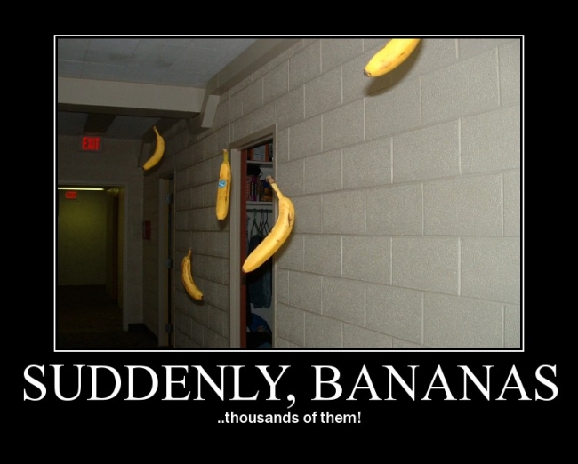 Suddenly, bananas ... thousands of them!