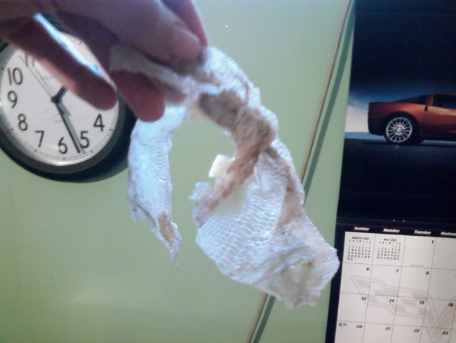 Marley the ball python