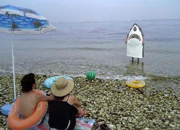 Rarr shark!
