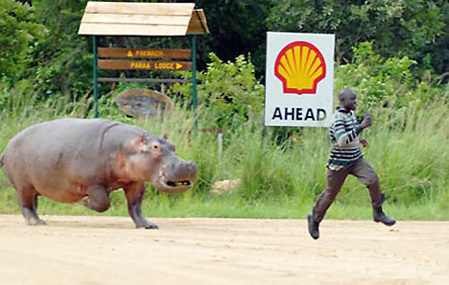 Run mofo, u gots da hippo on yo ass!