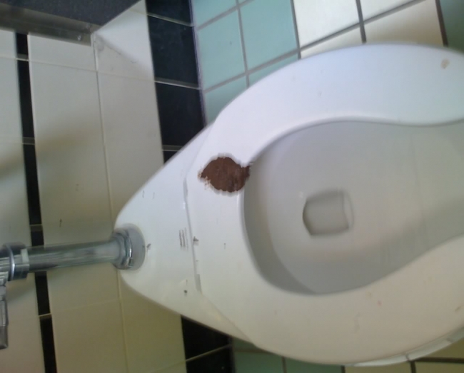 someone pooped on a toilet sit