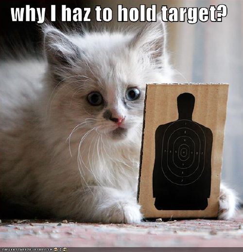Kitty just helping out with target practice.