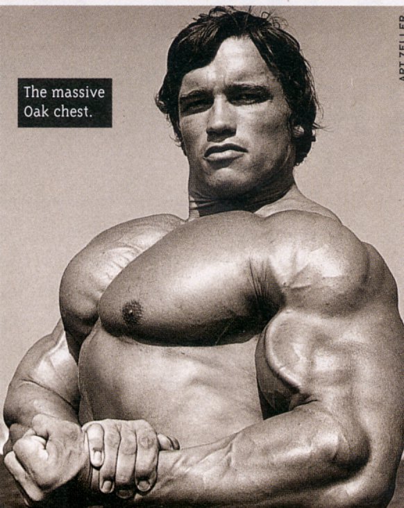 Arnold Schwarzenegger - Body Builder
