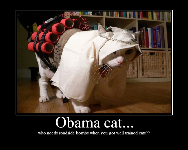 who needs roadside bombs when you got well trained cats??