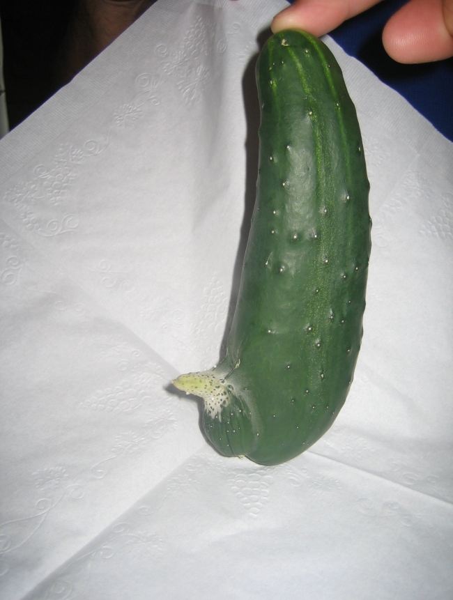 My dad Grew this excited cucumber in his garden!