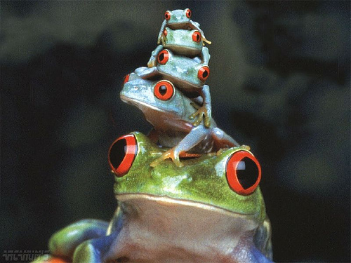 Psychodelic frogs