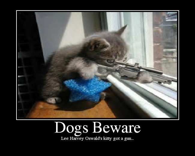 Lee Harvey Oswald's kitty got a gun...