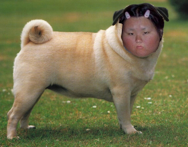 Aw look they dressed up their dog as a fat kid!