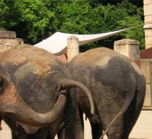 8 Reasons Why Not To Take Kids To The Zoo.