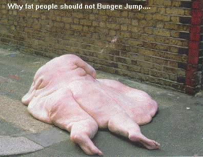 why fat people shouldnt bungie jump