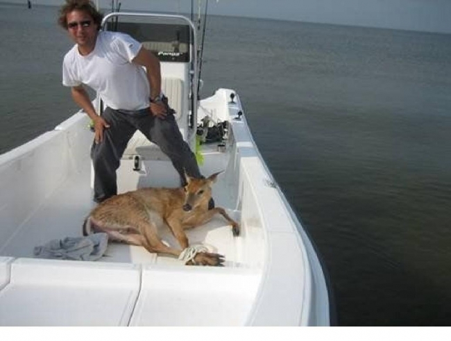 Guy catches this 1.5 miles off shore