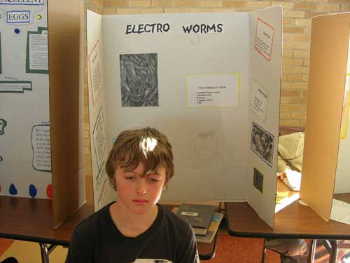 funny science fair - Eggs Electro Worms