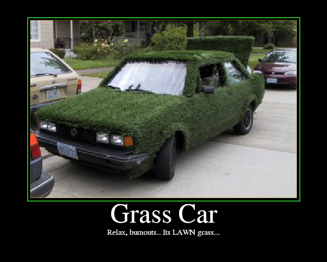 Relax, burnouts... Its LAWN grass....