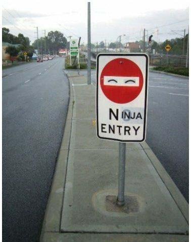 ninja entry