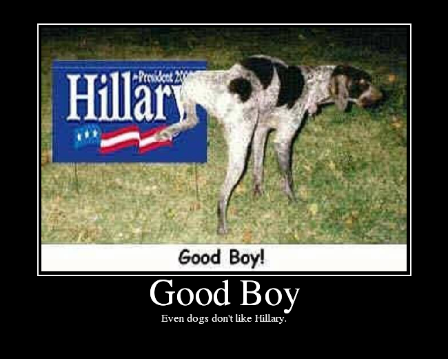Even dogs don't like Hillary.