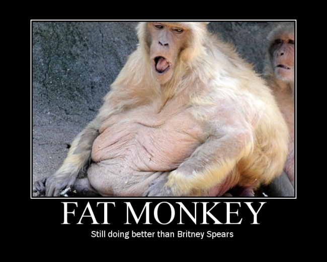 Fat Monkey Demotivator. 