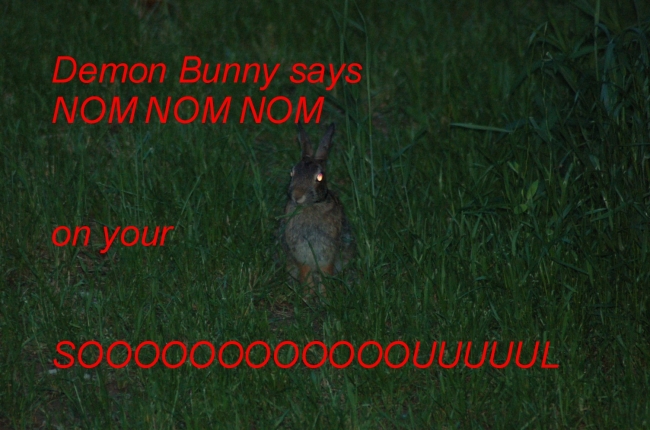 Demon Bunny 