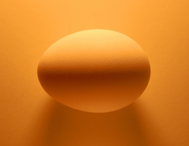 Just an egg, What else can I say? Copyright 2007, Roger Hunter