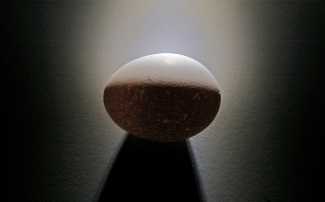 Shadow Egg.
Copyright 2007, Roger Hunter