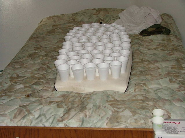 Water cup prank